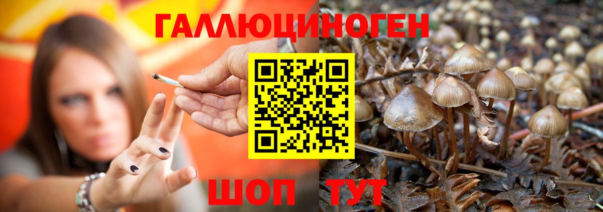 Псилоцибиновые грибы мухоморы Лосино-Петровский